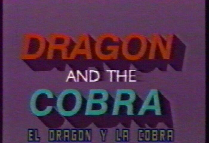 dragon and the cobra