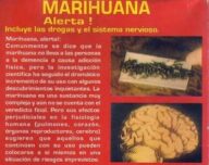 marihuana alerta