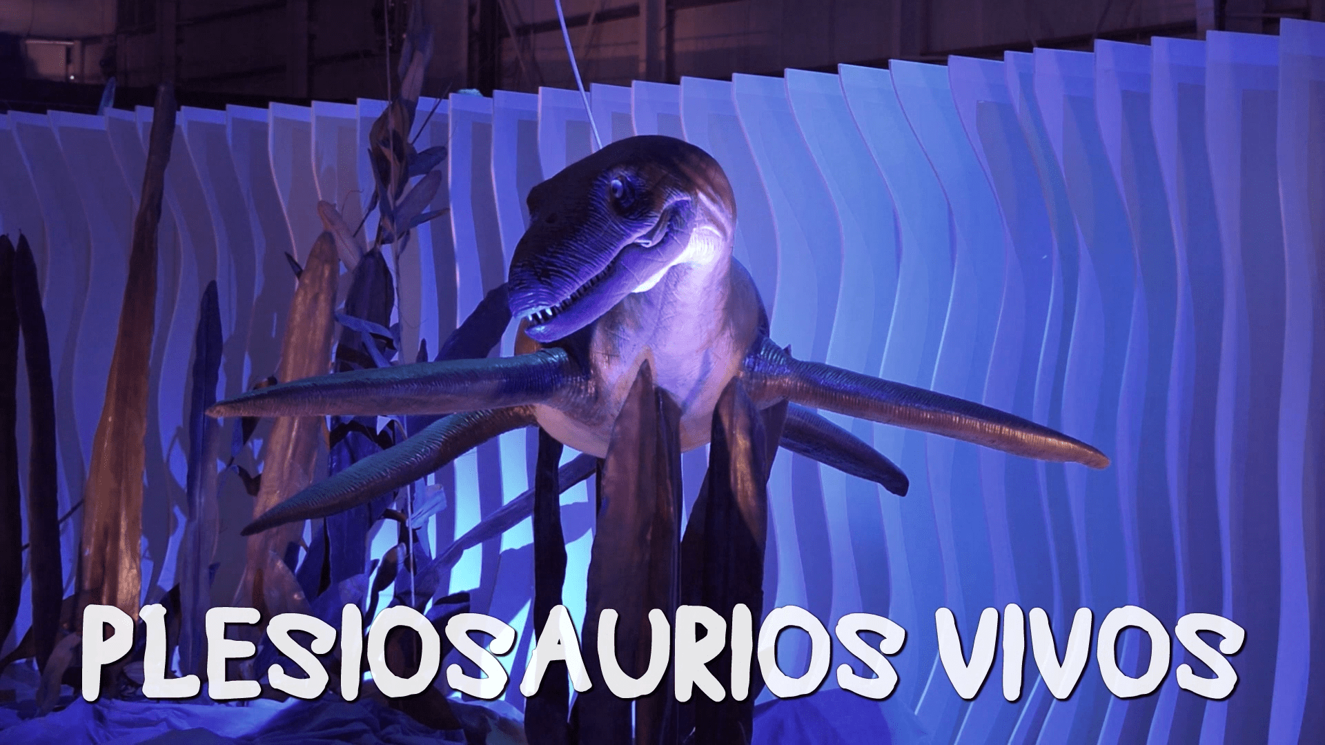 plesiosaurios vivos bafici